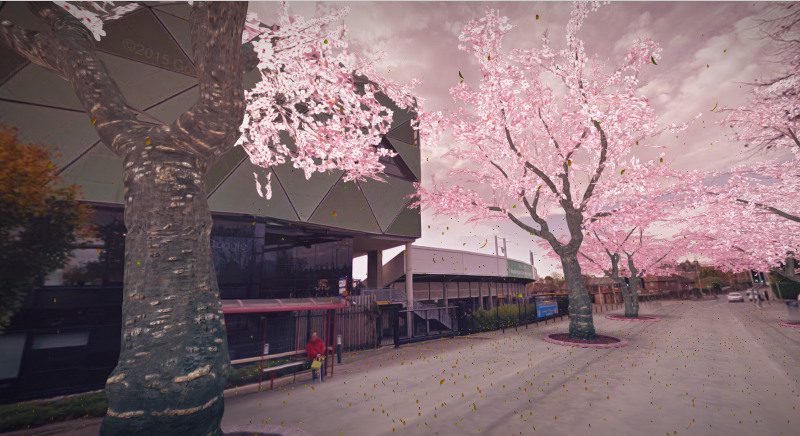 headingley cherry blossom