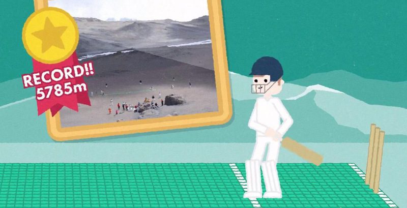 flicx cricket pitch video