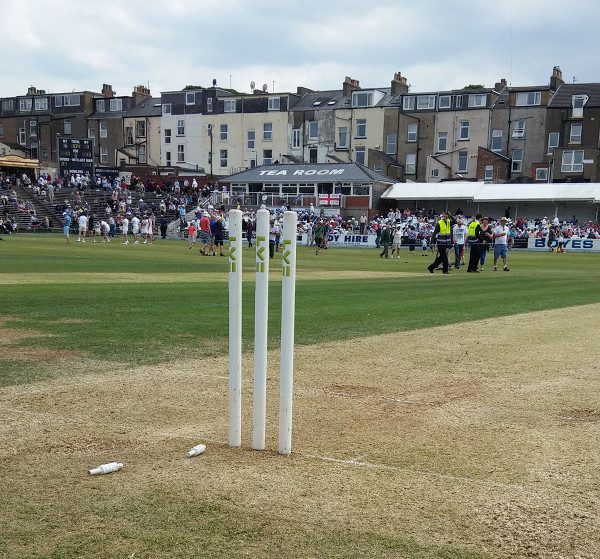 scarborough cricket festival wicket