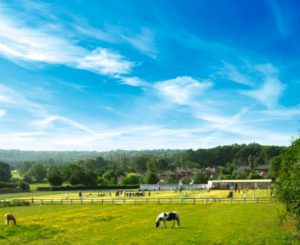 clayton west cricket club