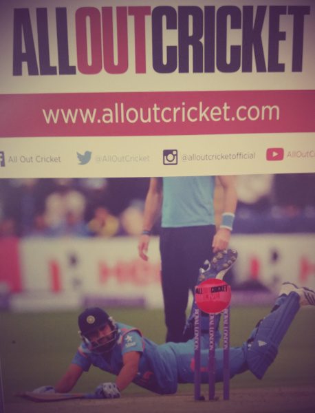 All Out Cricket