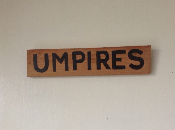 cricket umpire