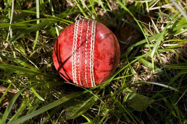 cricket ball