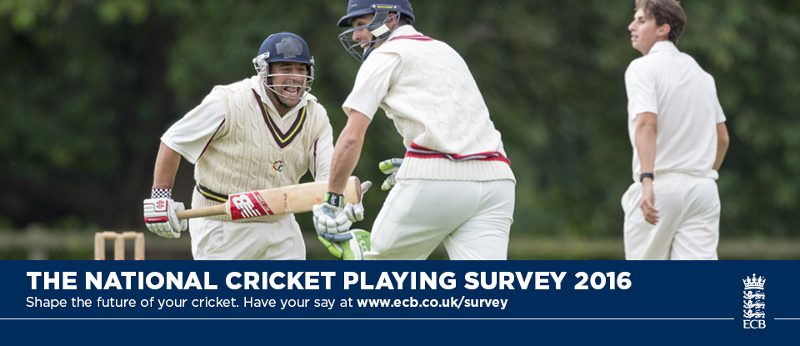 english cricket survey