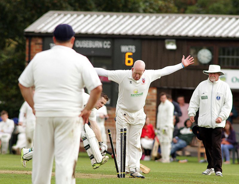 david barnes umpire