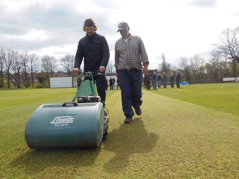 cricket groundsman david hodgson