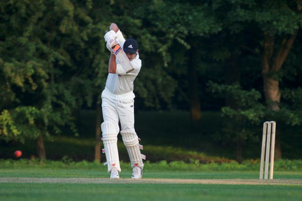 cricketer drives the ball