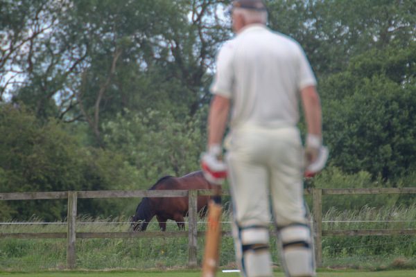 church fenton cricket club