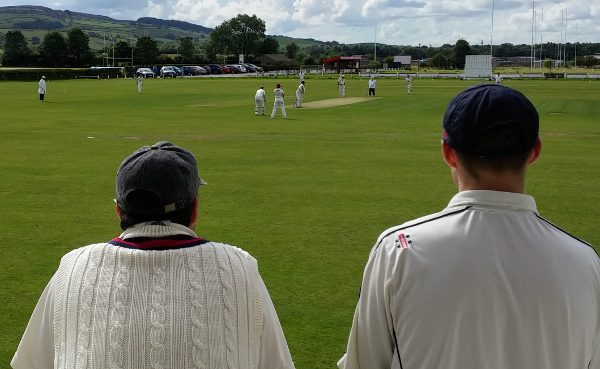 club cricketers watch a game with their backs to the camera