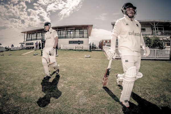 cricket in the sun at harrogate cricket club