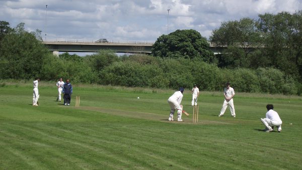 bradford & bingley cricket