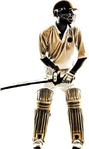 zwingo cricketer