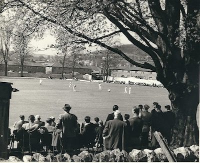 settle cricket club