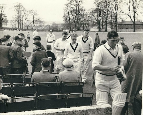 settle cricket club