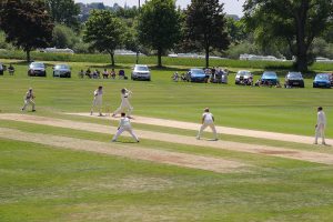 york cricket club ground