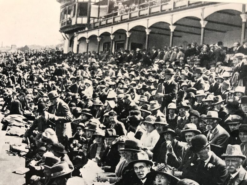 cricket crowd