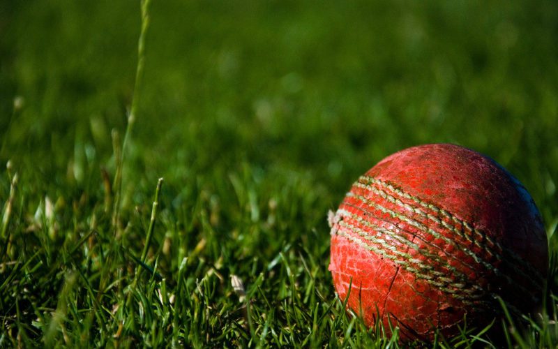 red cricket ball in grass