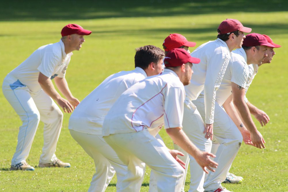 nidderdale cricket league: knaresborough forest vs alne