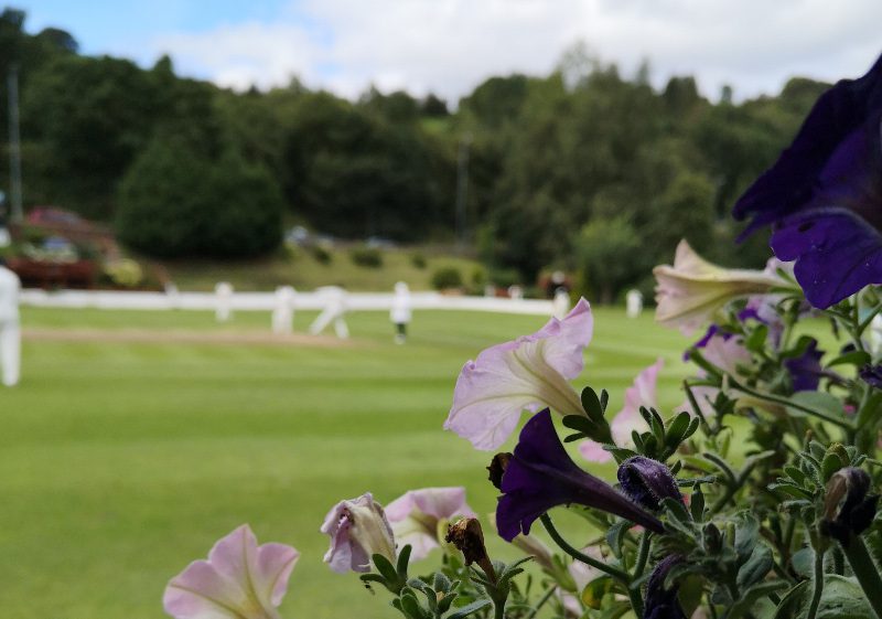 bridgeholme cricket club flowers