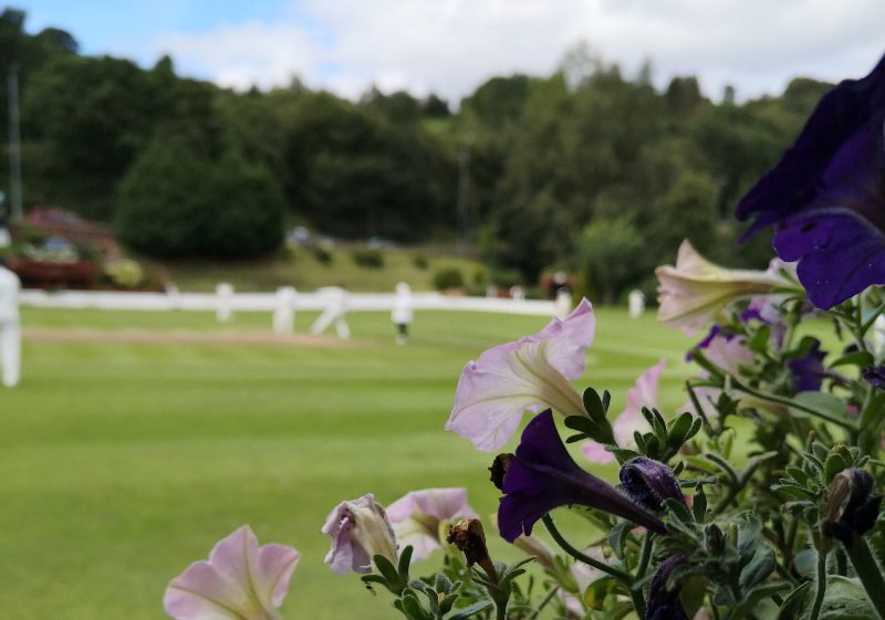 bridgeholme cricket club flowers