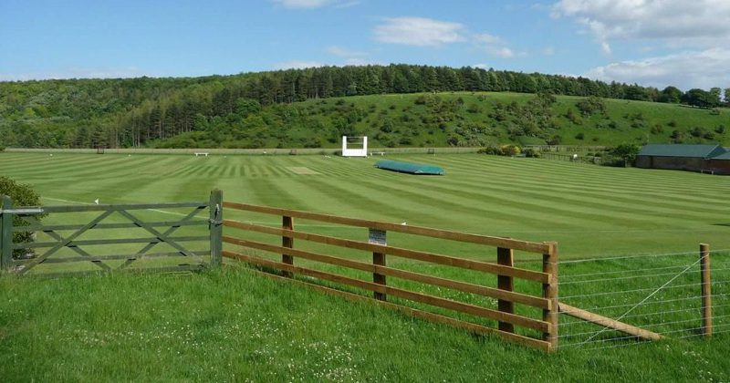 Londesborough Park Cricket