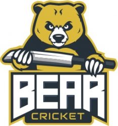 Bear Cricket