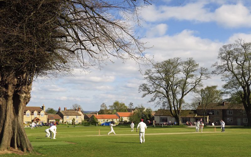 thornton-watlass-cricket-tree