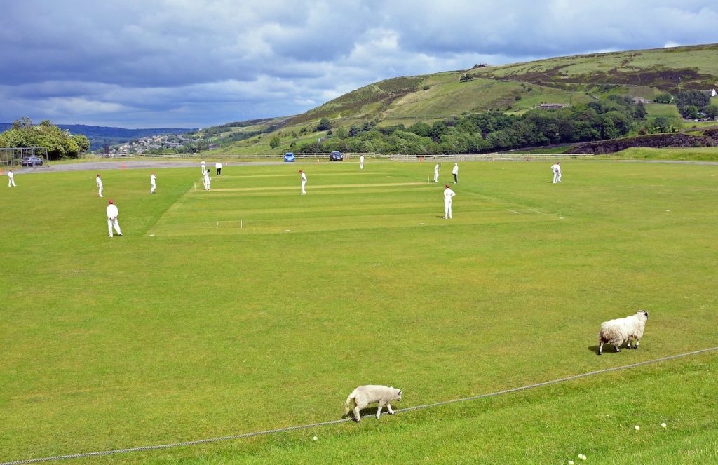 marsden cricket club (DM)